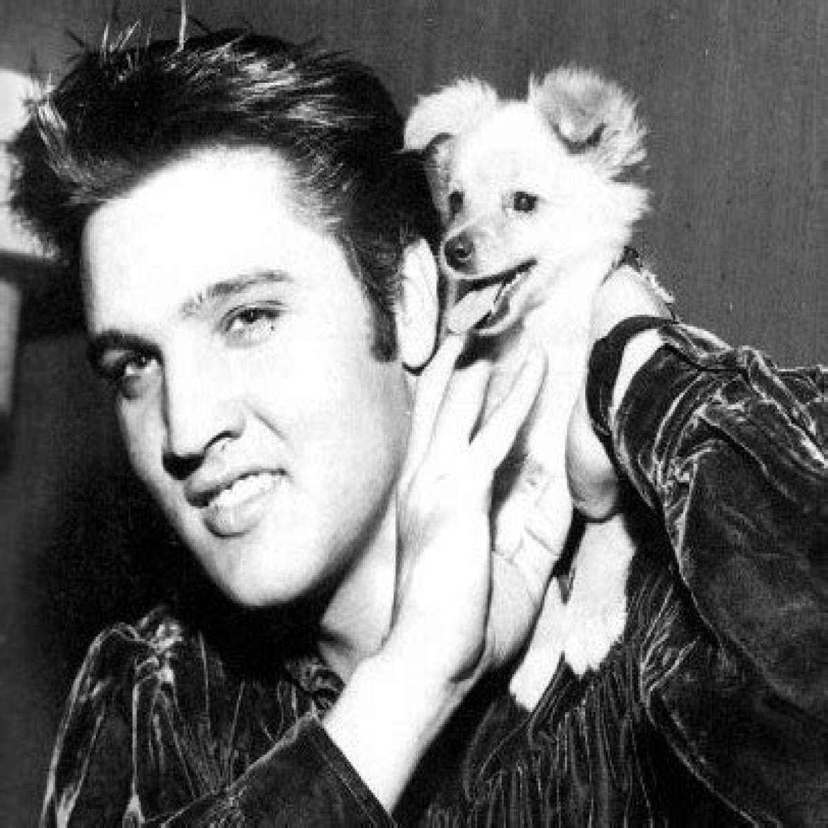 Elvis Presley Pets - Celebrity Pets